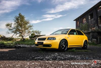 Audi S3 Hornet - Starlite gold